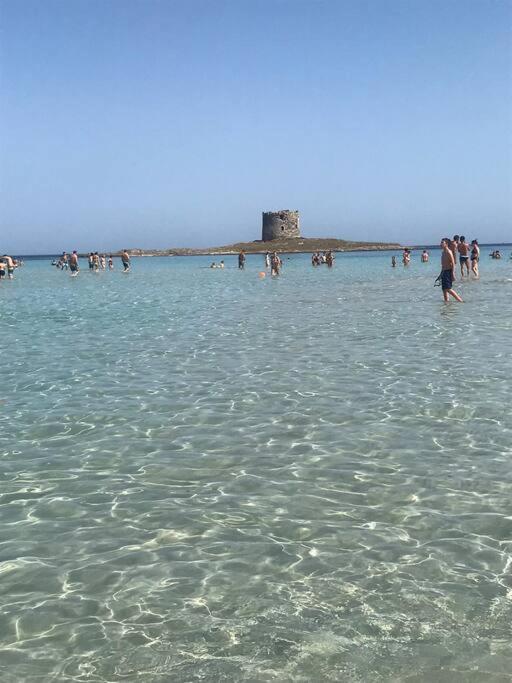 Casa Vacanze Stelle Marine Viddalba المظهر الخارجي الصورة